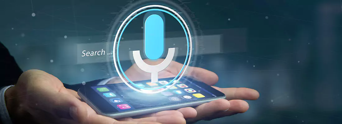 Enhance Security with Voice Recognition Access Systems in Lake Worth, FL